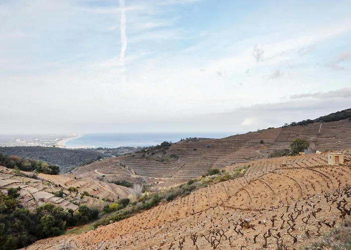 2 Bedroom Amazing In Collioure